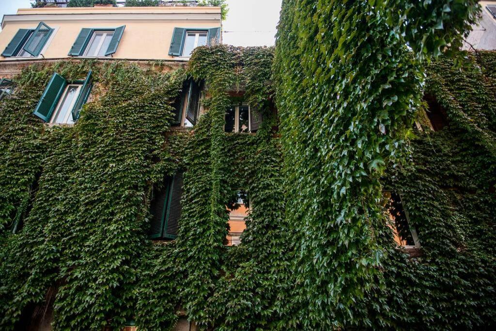 Colosseum/Panisperna Nina Apartament With Terrace Rom Eksteriør billede
